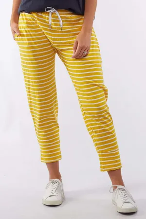 Brunch Pant in Mustard Stripe