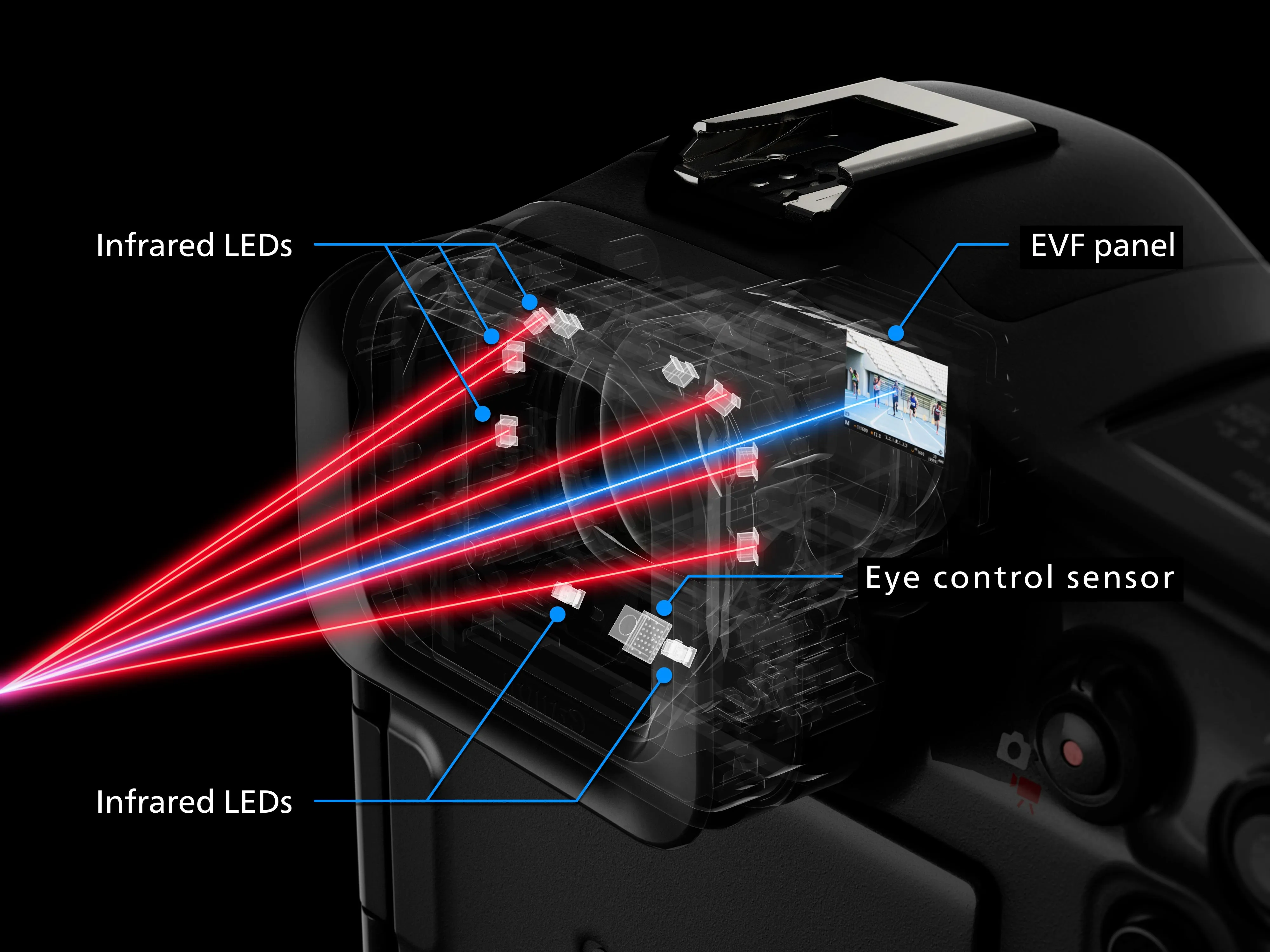 Canon EOS R1 Mirrorless Camera Body