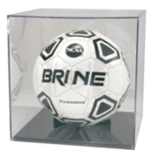 Soccer Ball Case